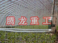 大棚花卉供暖設(shè)備、大棚卉采暖設(shè)備、大棚花卉取暖設(shè)備